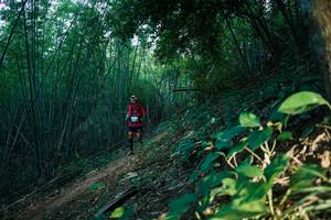 BIB: 
                            <button type="button" onclick="openModal(28124924)" class="btn btn-primary btn-sm float-right btn-popup" data-toggle="modal" data-target=".modal-high-quality">
                        <i class="fas fa-shopping-cart"></i> Add to Cart
                    </button>
                                            <button type="button" onclick="isThisMe(28124924, true)" class="btn btn-success btn-sm float-right btn-popup btn-isme hidden" data-toggle="tooltip" data-placement="bottom" title="นี่คือรูปของคุณใช่ไหม คลิกที่นี่เพื่อเอาเข้าอัลบั้ม">
                        <i class="fas fa-plus"></i> Add to album
                    </button>
                    <button type="button" onclick="isThisMe(28124924, false)" class="btn btn-warning btn-sm float-right btn-popup btn-isnotme hidden">
                        <i class="fas fa-ban"></i> Remove from album
                    </button>